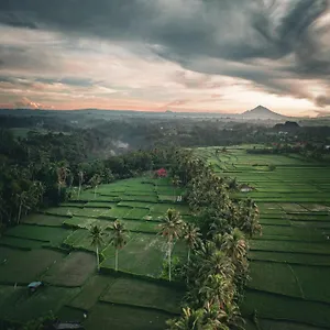 Guest house Ayu Duwur Beji, Ubud (Bali)